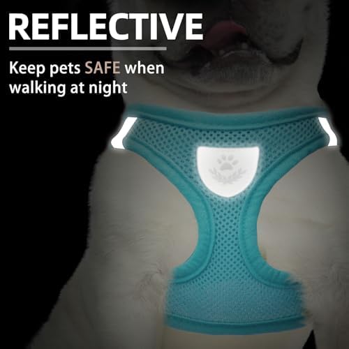 PUPTECK Dog Harness, Collar and Leash Set No Pull - Image 5
