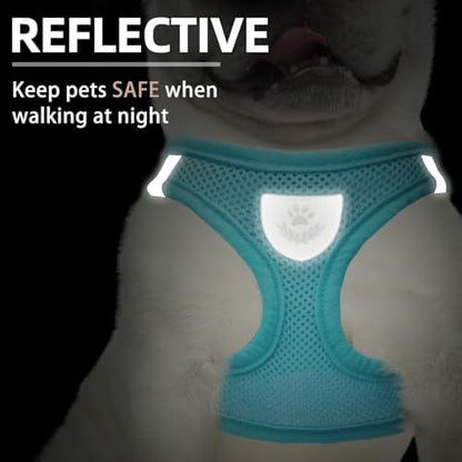 PUPTECK Dog Harness, Collar and Leash Set No Pull - Image 5