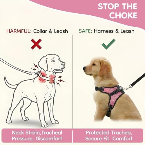 No Pull Reflective Adjustable Dog Harness - Image 5