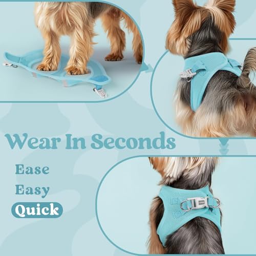 rabbitgoo Step-in Small Dog Harness, Puppy Vest - Image 6