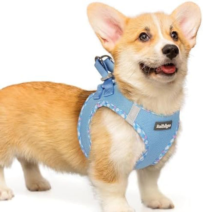 rabbitgoo Step-in Small Dog Harness, Puppy Vest by rabbitgoo