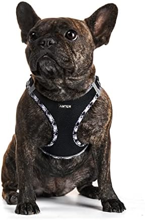 AMTOR Dog Harness with Leash Set, No Pull Adjustable Reflective Step-in Puppy - Image 5