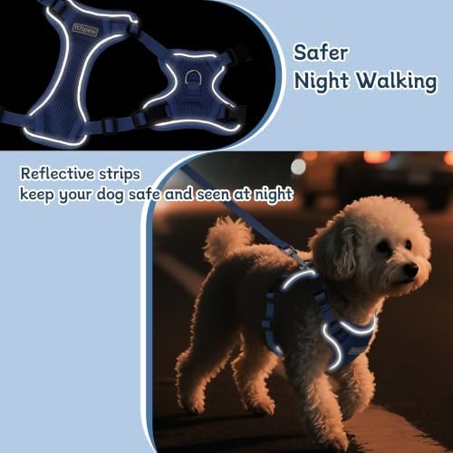 Small Dog Harness and Leash Set, Adjustable Small Sized Pet Vest - Image 4