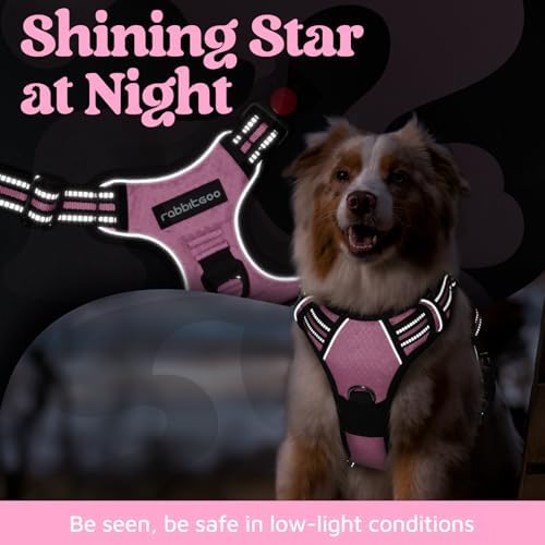 rabbitgoo Dog Harness for Large, No Pull 3 Buckles Easy On & Off - Image 6