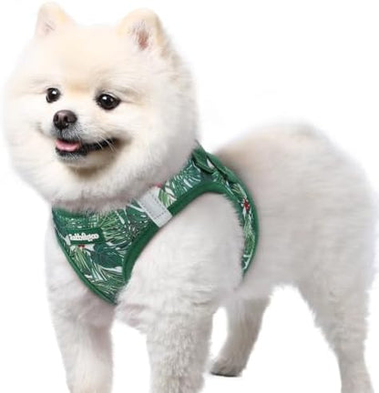 rabbitgoo Step-in Small Dog Harness, Puppy Vest by rabbitgoo