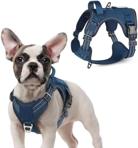 rabbitgoo Tactical Dog Harness for Small, No Pull Military Service Vest by rabbitgoo