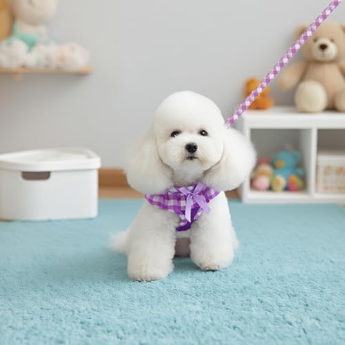 EXPAWLORER Step-in Dog Harness Small Sized and Leash Set - Image 7