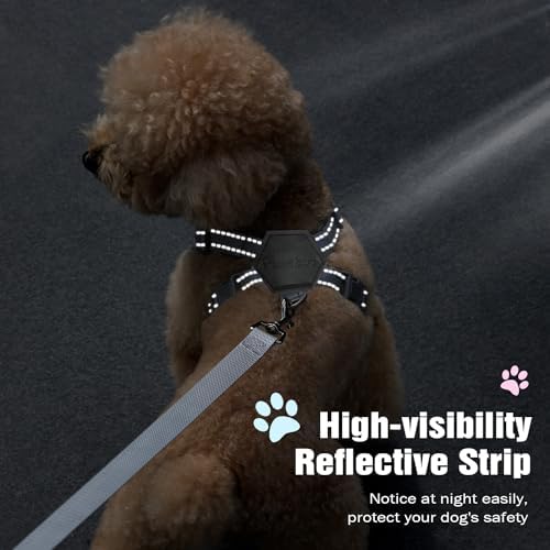 Pawaboo Small Dog Harness and Leash Set, Puppy Harness X-Frame Adjustable - Image 7