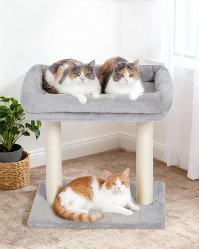 19" Small Cat Tree with Scratching Post - Image 6