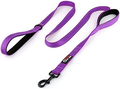 Primal Pet Gear Dog Leash 6ft Long, Traffic Padded Two Handle, Heavy Duty by PrimalPetGear