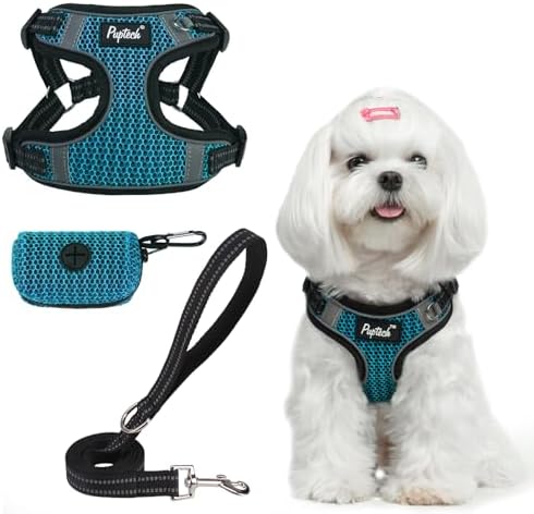 PUPTECK Dog Harness and Leash Set Small Sized, Step in No Pull Adjustable Puppy by PUPTECK
