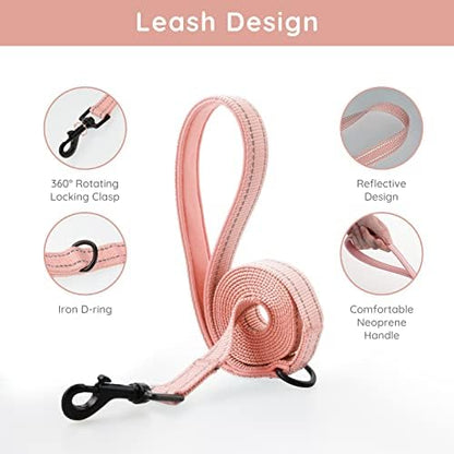 BELLA & PAL Step in Puppy Harness and Leash Set - Image 3