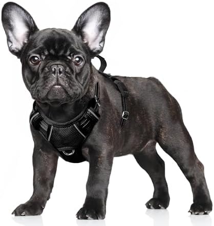BARKBAY No Pull Dog Harness Large Reflective Dog Harness by BARKBAY