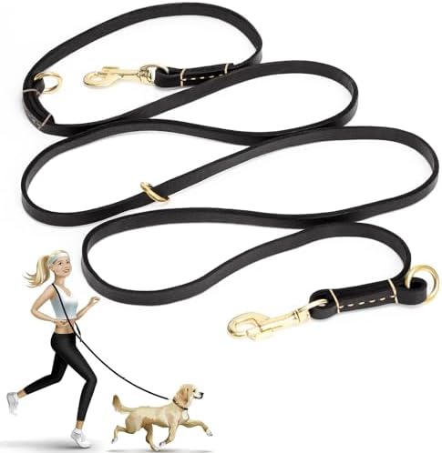 Guiding Star 8ft Leather Dog Leash by GuidingStar