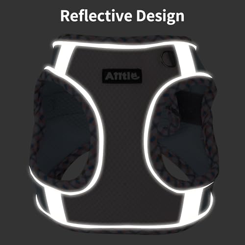 AIITLE XXS Dog Harness & Leash Set - Image 4
