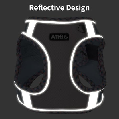 AIITLE Small Dog Harness and Leash Set - Image 3