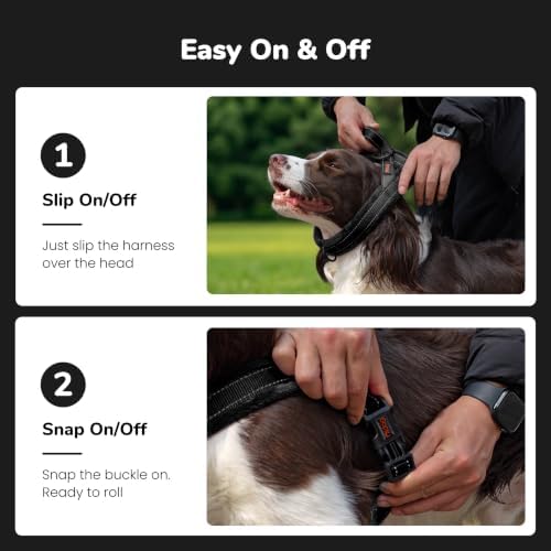 Didog No Pull Dog Harness for Small Dogs, Soft Flannel Padded - Image 3
