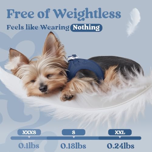 rabbitgoo Step-in Small Dog Harness, Puppy Vest - Image 4