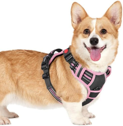 rabbitgoo Dog Harness Small Sized, Updated Easy On & Off by rabbitgoo