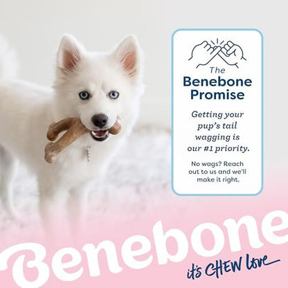 Benebone Puppy Wishbone Dog Chew Toy - Image 6