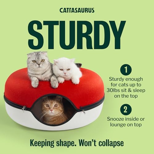 Cattasaurus Peekaboo Cat Cave Donut - Image 5