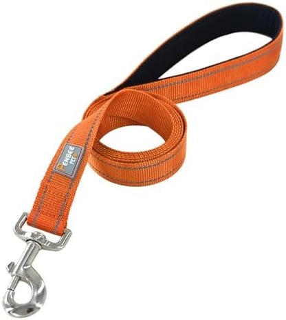 6 FT Basic Dog Leash for Medium Dogs - Image 3