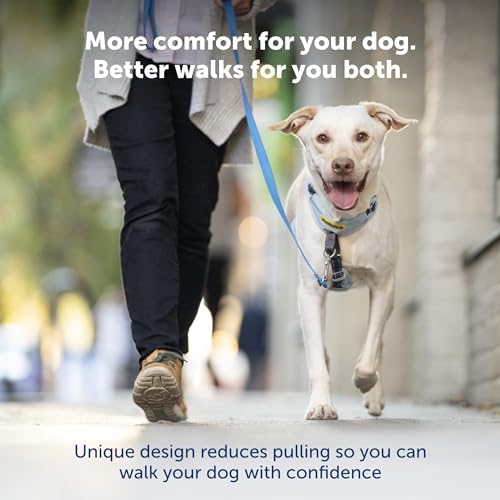 PetSafe Easy Walk Comfort No-Pull Dog Harness Full-Body Padding - Image 2