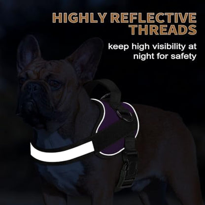 Haapaw Essential Dog Harness, No Pull Pet Vest - Image 4
