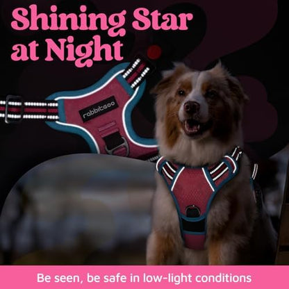 rabbitgoo Dog Harness Medium Sized, No Pull 3 Buckles Easy On & Off - Image 6