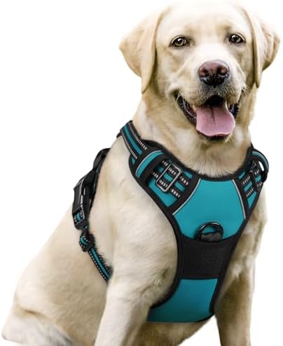 rabbitgoo Dog Harness No Pull by rabbitgoo