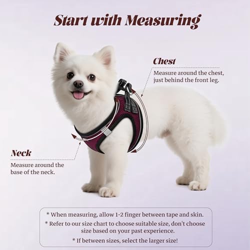 No Pull Dog Puppy Harness and Leash Set Reflective Mesh Vest XX-Small - Image 2
