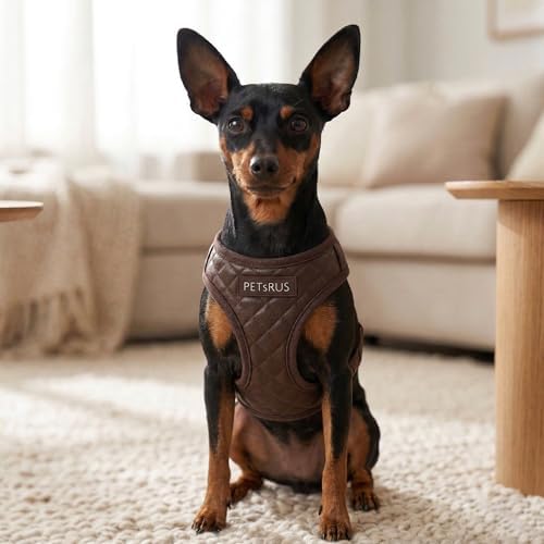 Step in Dog Harness, Lightweight Breathable Mesh Soft Padded Pet Vest, Vegan - Image 5