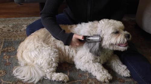 MISTIC COOL Alpha Pro Dog Trimmer - Image 5