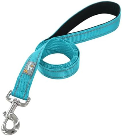 6 FT Basic Dog Leash for Medium Dogs, Sky Blue - Image 2