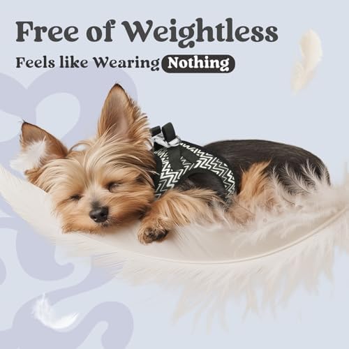 rabbitgoo Step-in Small Dog Harness, Puppy Vest - Image 4