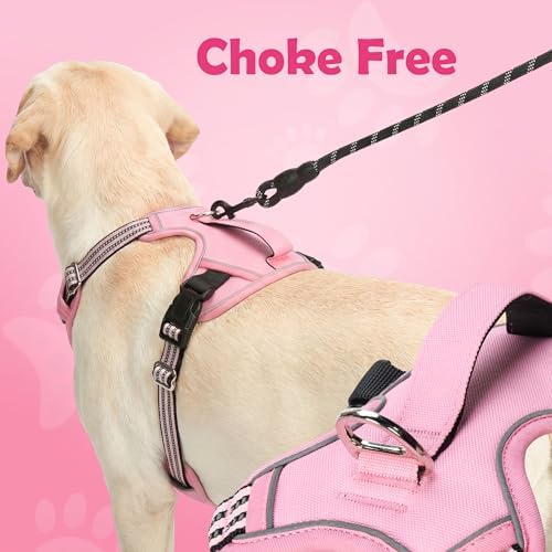 Funfox Dog Harness No Pull, Adjustable Pet Vest Harness, Super Soft Material - Image 4
