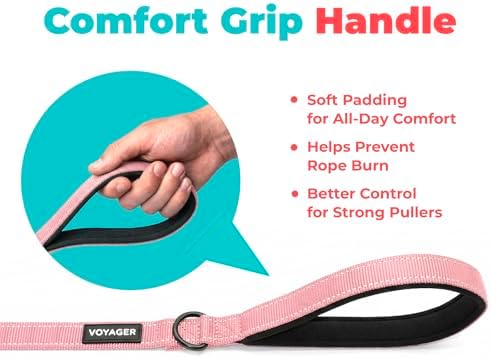 Best Pet Supplies Voyager Nylon Dog Leash - Image 5