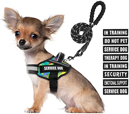 Service Dog Vest Harness and Leash Set, Animire in Training Dog Harness by Animire