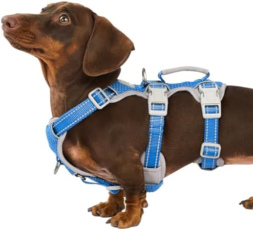 Huntboo Escape Proof Dog Harness, Secure Dog Harness No Escape, Fully by Huntboo