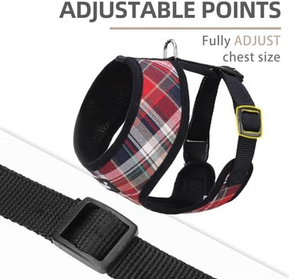 PUPTECK Small Dog Harness and Leash Set No Pull - Image 3