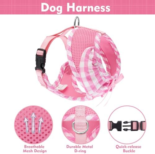 EXPAWLORER Step-in Dog Harness Small Sized and Leash Set - Image 2
