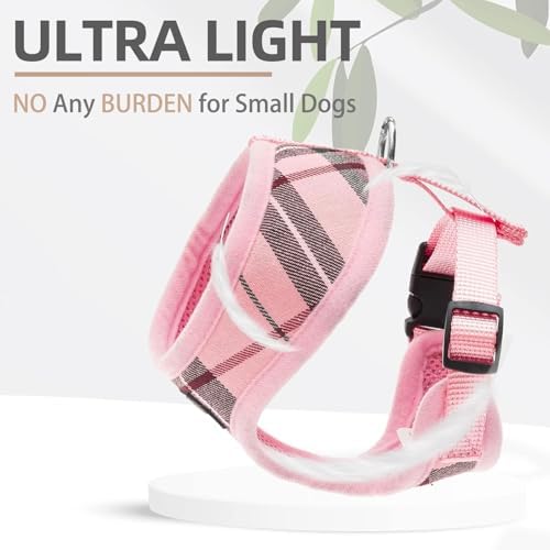 PUPTECK Small Dog Harness and Leash Set No Pull - Image 5