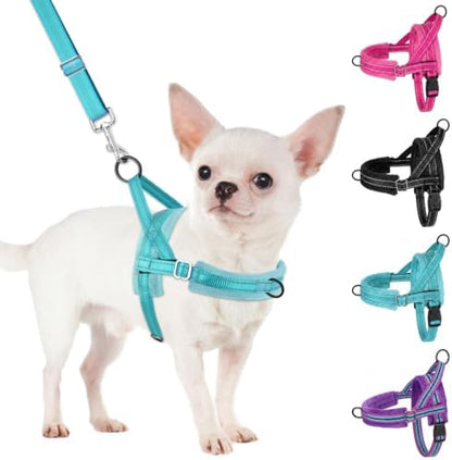 SlowTon No Pull Small Dog Harness and Leash Set by SlowTon