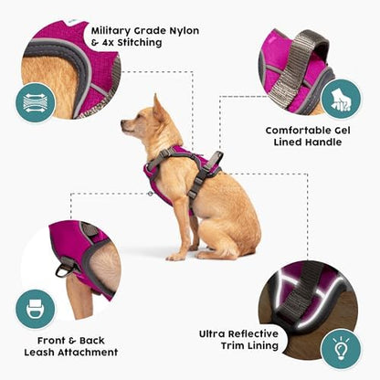 Embark No Pull Dog Harness, Reflective Adjustable Training Vest, No Choke - Image 3