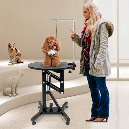 Professional Electric Lift Pet Grooming Table - Image 2