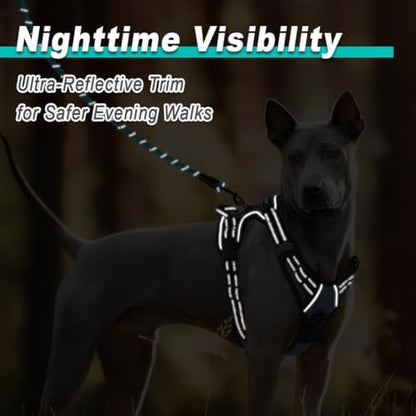 BARKBAY Dog Harness for Small Sized Dog No Pull 2 Leash Clips Dog Vest - Image 5
