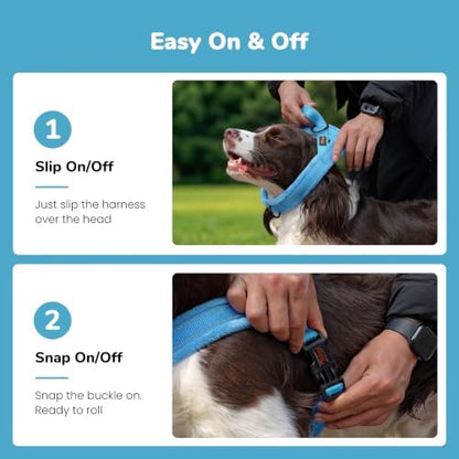Didog No Pull Dog Harness for Small Dogs, Soft Flannel Padded - Image 3