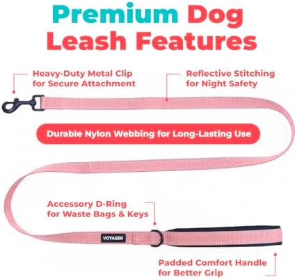 Best Pet Supplies Voyager Nylon Dog Leash - Image 2