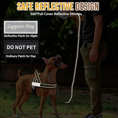 Lukovee No Pull Dog Harness and Leash Set, Soft Padded - Image 6