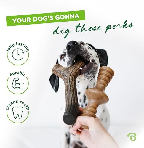 Benebone Maplestick/Zaggler Durable Dog Chew Toys, Dog Bones - Image 3